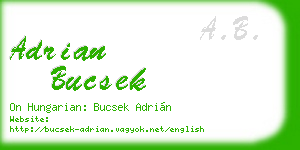 adrian bucsek business card